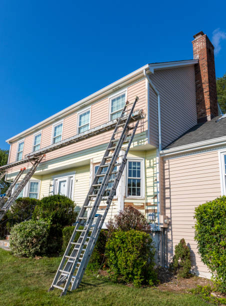 Best Stone Veneer Siding  in Tilden, NE